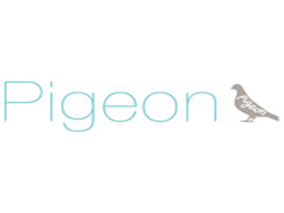 Pigeon